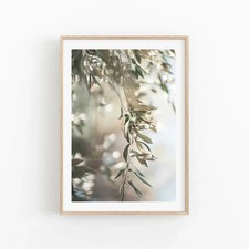 Skandi Wandkunst Olivenbaum